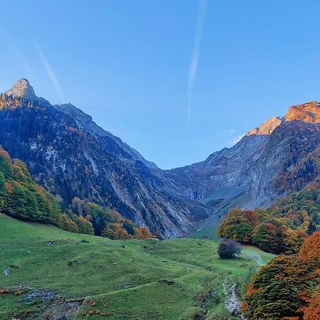 Logement 6 Pers Au Coeur Des Montagnes Pyreneennes Linge De Maison Et Papier Toilette Non Fournis Boutx 외부 사진