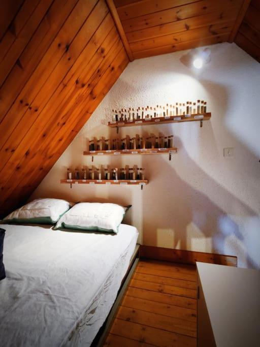 Logement 6 Pers Au Coeur Des Montagnes Pyreneennes Linge De Maison Et Papier Toilette Non Fournis Boutx 외부 사진