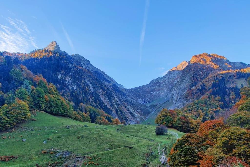 Logement 6 Pers Au Coeur Des Montagnes Pyreneennes Linge De Maison Et Papier Toilette Non Fournis Boutx 외부 사진