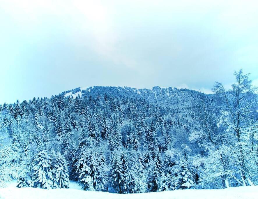Logement 6 Pers Au Coeur Des Montagnes Pyreneennes Linge De Maison Et Papier Toilette Non Fournis Boutx 외부 사진
