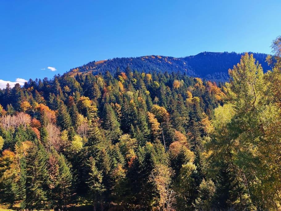 Logement 6 Pers Au Coeur Des Montagnes Pyreneennes Linge De Maison Et Papier Toilette Non Fournis Boutx 외부 사진
