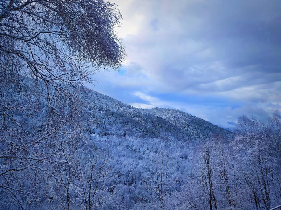 Logement 6 Pers Au Coeur Des Montagnes Pyreneennes Linge De Maison Et Papier Toilette Non Fournis Boutx 외부 사진