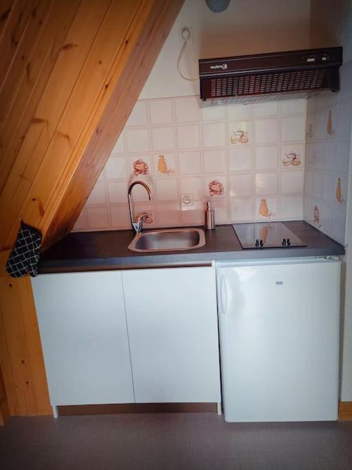 Logement 6 Pers Au Coeur Des Montagnes Pyreneennes Linge De Maison Et Papier Toilette Non Fournis Boutx 외부 사진