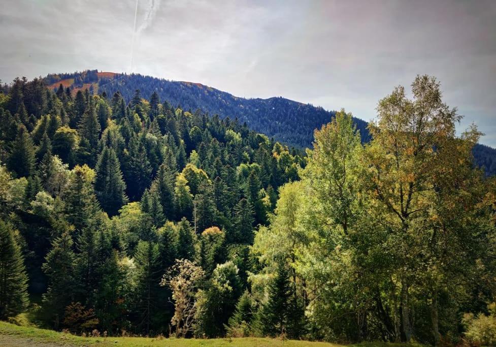 Logement 6 Pers Au Coeur Des Montagnes Pyreneennes Linge De Maison Et Papier Toilette Non Fournis Boutx 외부 사진